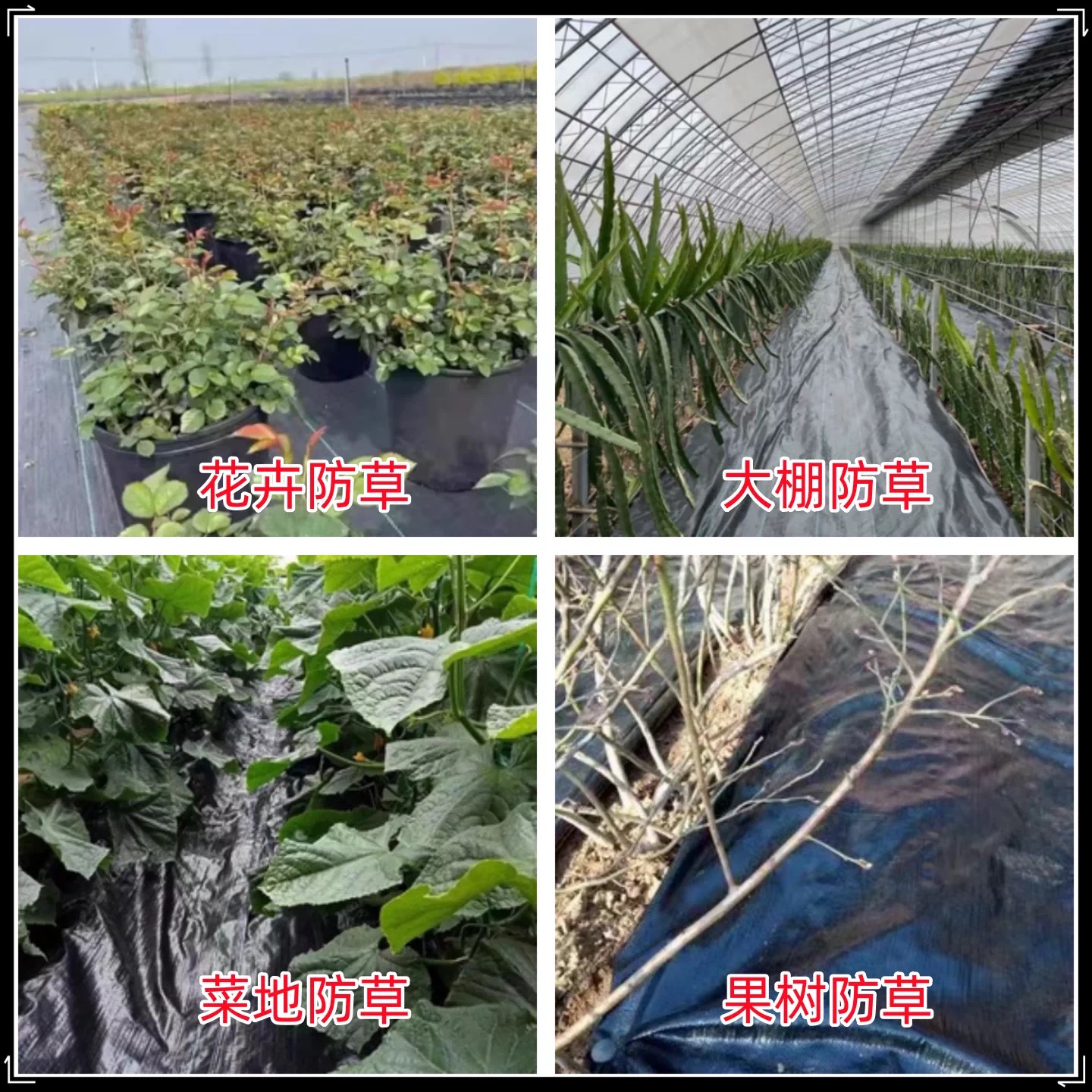 鹤岗市po膜防草布 - 一站式服务