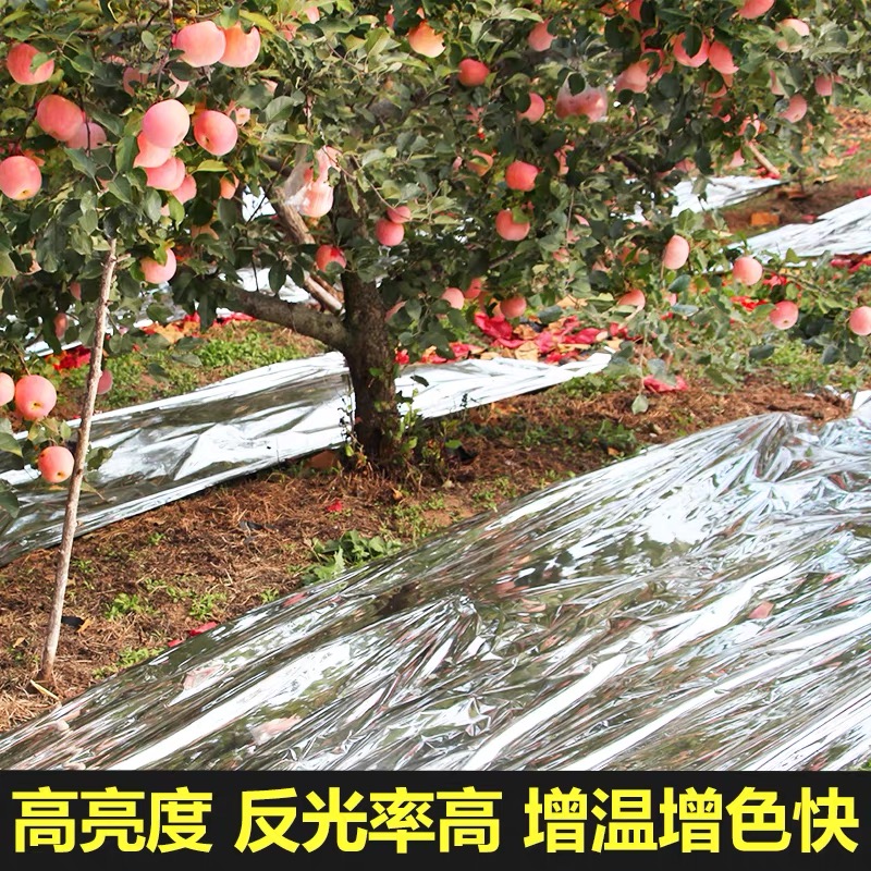 鹤岗市果树反光膜果树反光膜 - 厂家